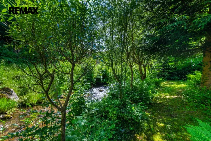 Prodej chalupy, Rokytnice nad Jizerou - Dolní Rokytnice, 100 m2