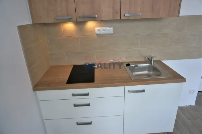 Pronájem bytu 1+kk, České Budějovice - České Budějovice 3, Pekárenská, 20 m2
