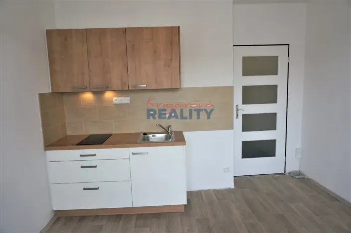 Pronájem bytu 1+kk, České Budějovice - České Budějovice 3, Pekárenská, 20 m2