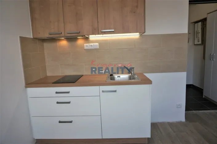 Pronájem bytu 1+kk, České Budějovice - České Budějovice 3, Pekárenská, 20 m2