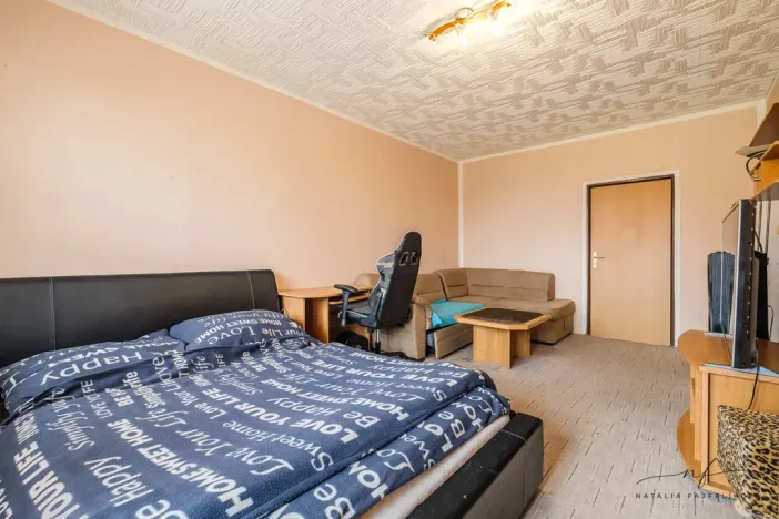 Prodej bytu 2+1, Habartov, Karla Čapka, 52 m2