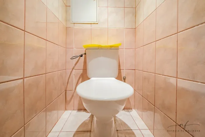 Prodej bytu 2+1, Habartov, Karla Čapka, 52 m2