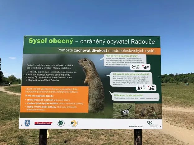 Prodej bytu 2+1, Mladá Boleslav, Na Radouči, 55 m2