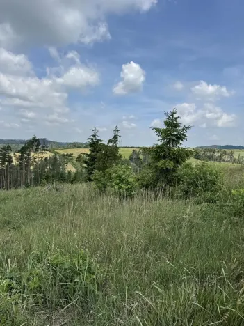 Prodej lesa, Chlum, 5098 m2