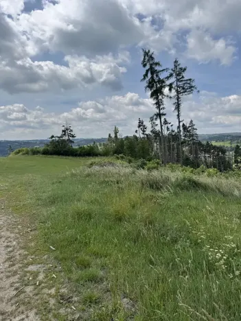 Prodej lesa, Chlum, 5098 m2