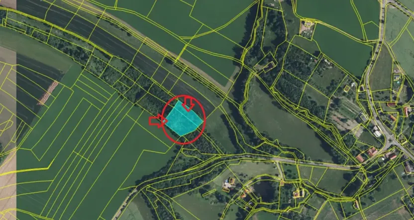 Prodej lesa, Kněžnice, 4780 m2