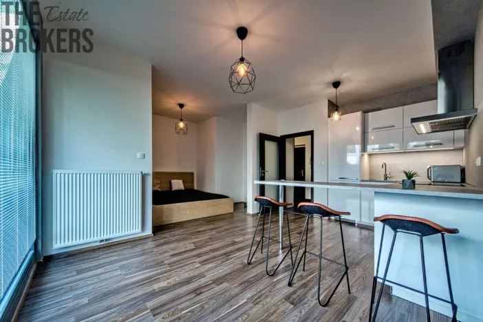 Pronájem bytu 1+kk, Praha - Karlín, U Mlýnského kanálu, 37 m2