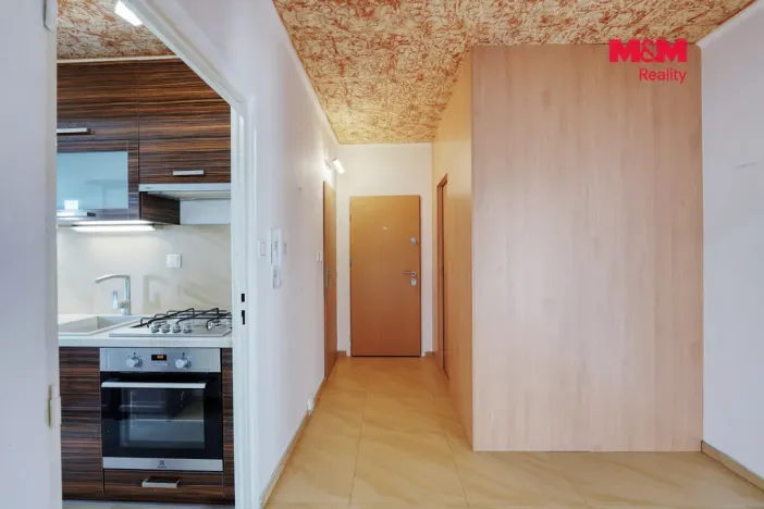 Prodej bytu 2+1, Plzeň - Severní Předměstí, Elišky Krásnohorské, 62 m2