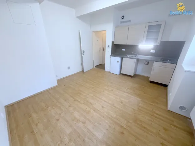 Pronájem bytu 1+kk, Praha - Nusle, U družstva Ideál, 26 m2