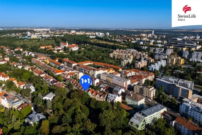 Prodej bytu 1+1, Praha - Břevnov, 8. listopadu, 25 m2