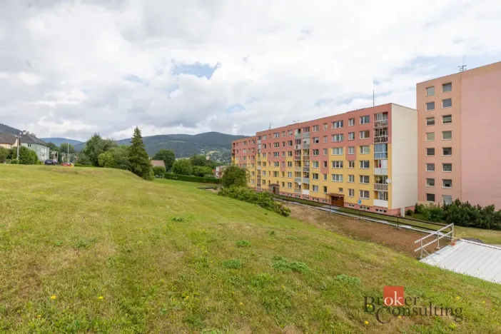 Prodej bytu 2+1, Vrbno pod Pradědem, Družstevní, 43 m2