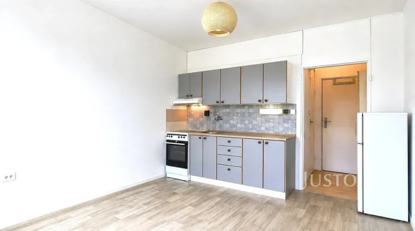 Pronájem bytu 1+kk, Písek - Budějovické Předměstí, 17. listopadu, 19 m2