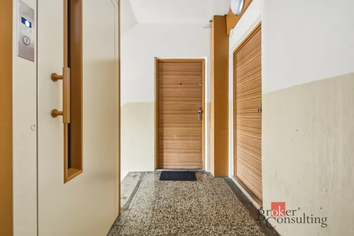 Prodej bytu 2+1, Hradec Králové - Moravské Předměstí, Štefánikova, 62 m2