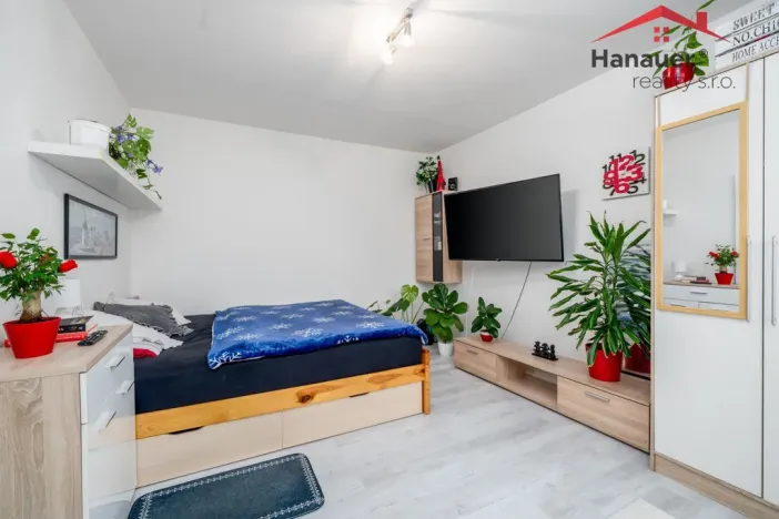 Prodej bytu 1+1, Ústí nad Labem - Mojžíř, Peškova, 37 m2