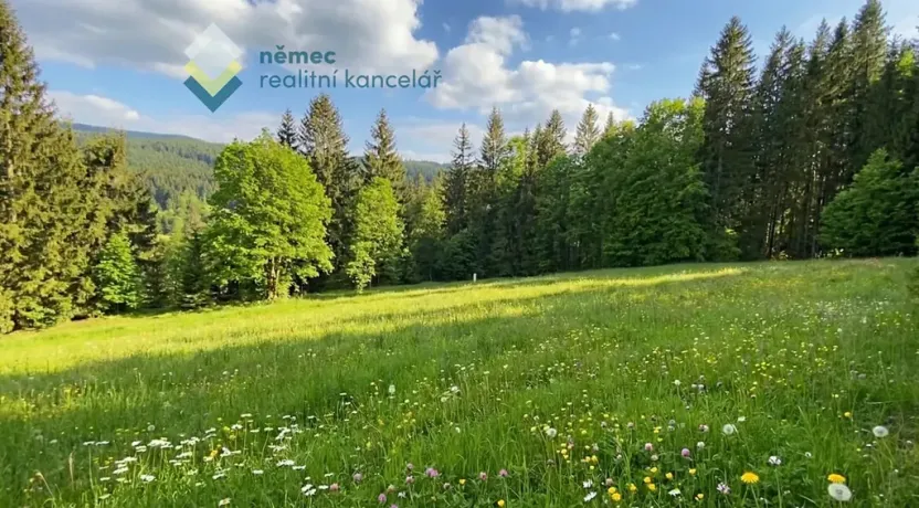 Prodej pozemku pro bydlení, Železná Ruda, 3475 m2