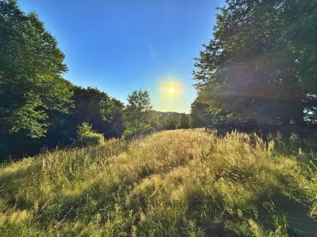 Prodej pozemku pro bydlení, Hlubočky, 44238 m2