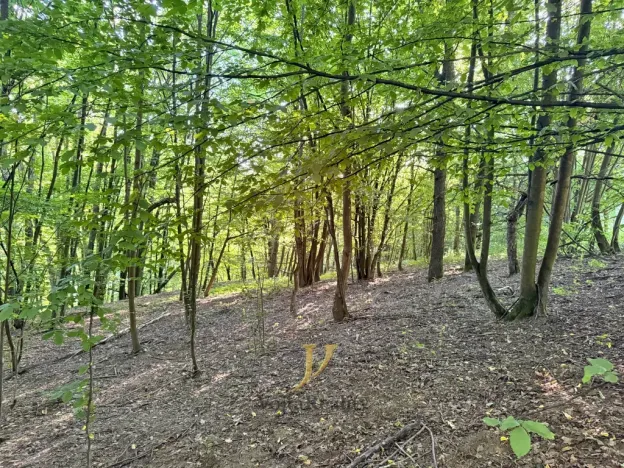 Prodej pozemku pro bydlení, Hlubočky, 44238 m2
