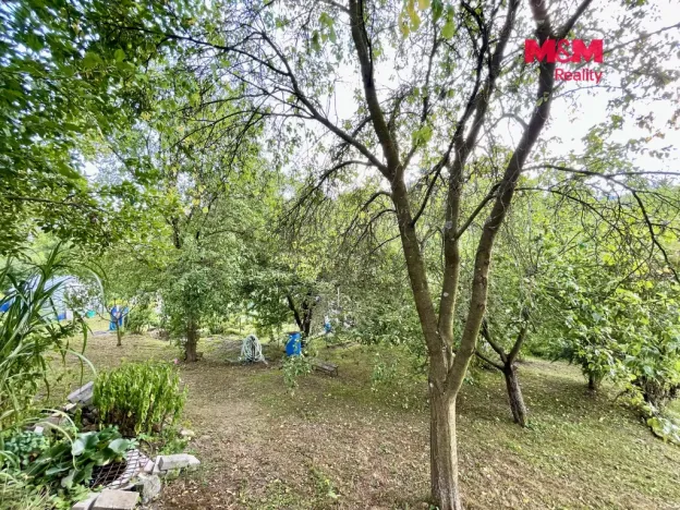 Prodej zahrady, Letohrad, 535 m2