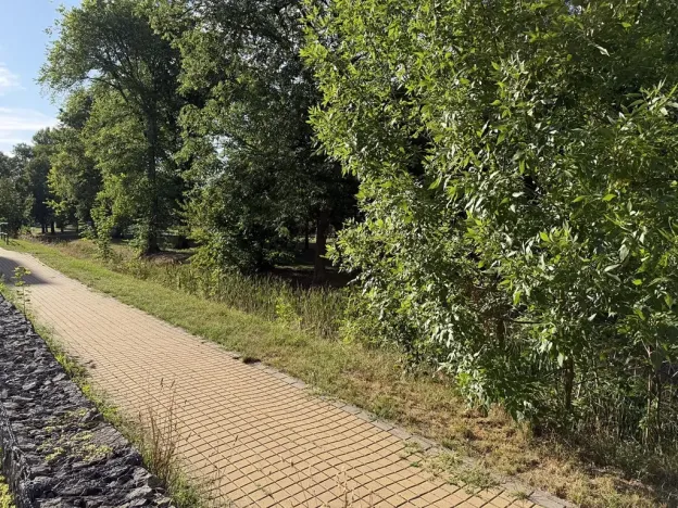 Pronájem bytu 3+kk, Hradec Králové, Rybova, 89 m2