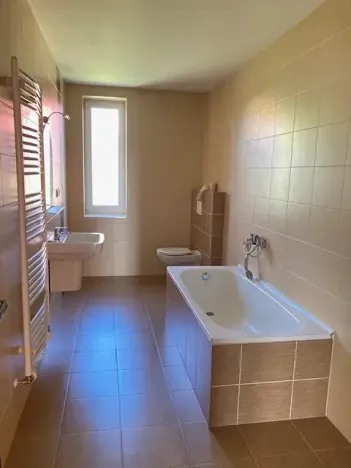 Pronájem bytu 4+kk, Chomutov, Dostojevského, 155 m2