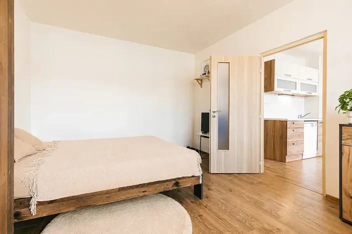 Prodej bytu 1+1, Brno, Horácké náměstí, 45 m2