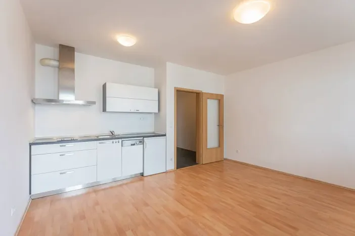 Pronájem bytu 1+kk, Praha - Michle, V dolině, 40 m2