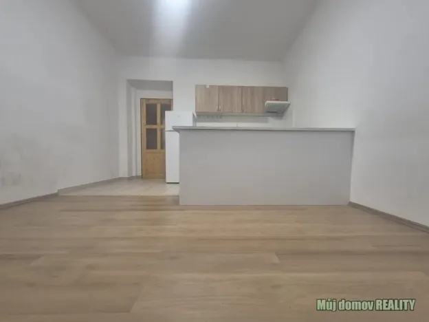 Pronájem bytu 1+kk, Praha - Michle, Michelská, 25 m2