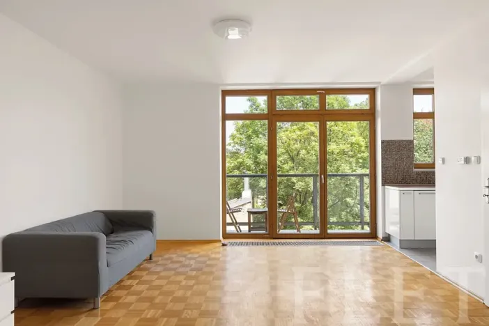 Pronájem bytu 1+kk, Praha - Žižkov, Dalimilova, 50 m2