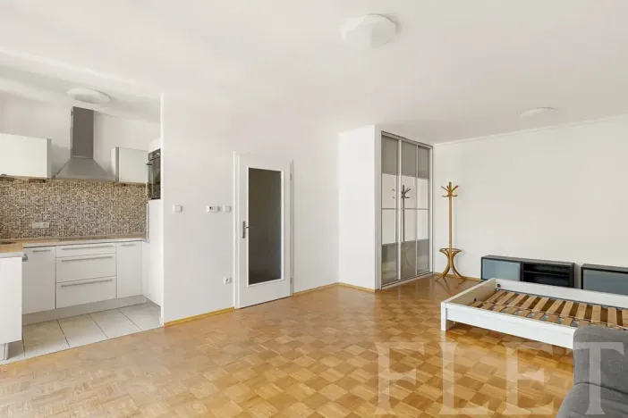 Pronájem bytu 1+kk, Praha - Žižkov, Dalimilova, 50 m2