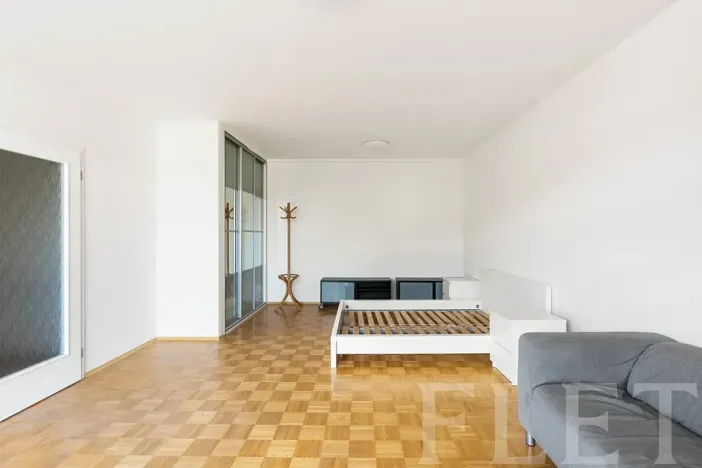 Pronájem bytu 1+kk, Praha - Žižkov, Dalimilova, 50 m2