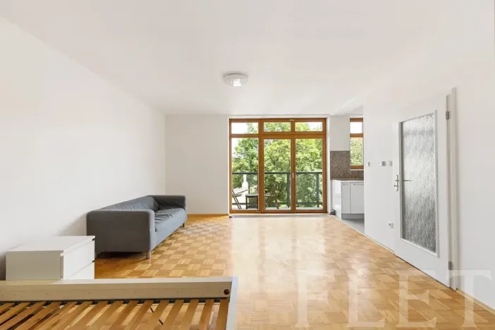 Pronájem bytu 1+kk, Praha - Žižkov, Dalimilova, 50 m2
