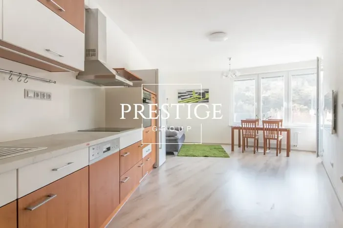 Pronájem bytu 2+kk, Praha - Košíře, Vrchlického, 52 m2