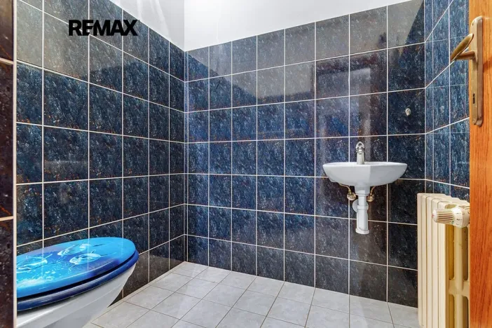 Prodej rodinného domu, Zruč-Senec, Na Slovanech, 570 m2