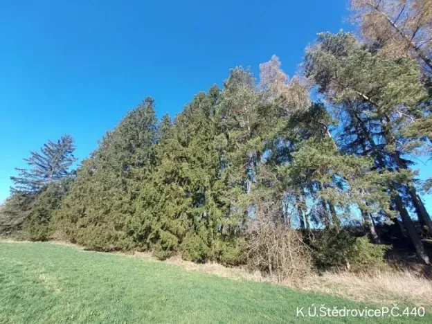 Prodej lesa, Čáslavsko, 1351 m2