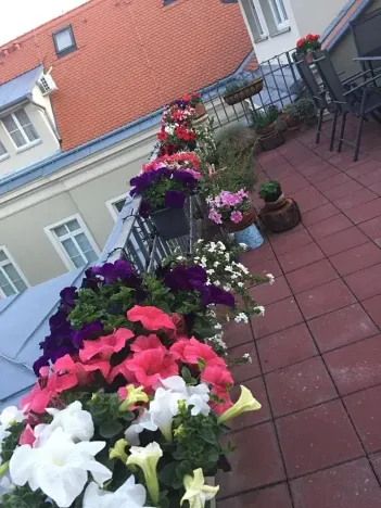 Prodej atypického bytu, Mikulov, Komenského, 164 m2