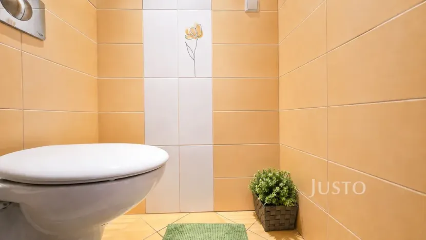 Prodej bytu 3+1, Písek - Budějovické Předměstí, třída Přátelství, 61 m2