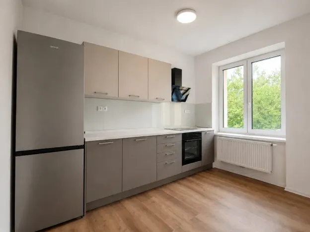 Pronájem bytu 1+1, Prostějov, Riegrova, 43 m2
