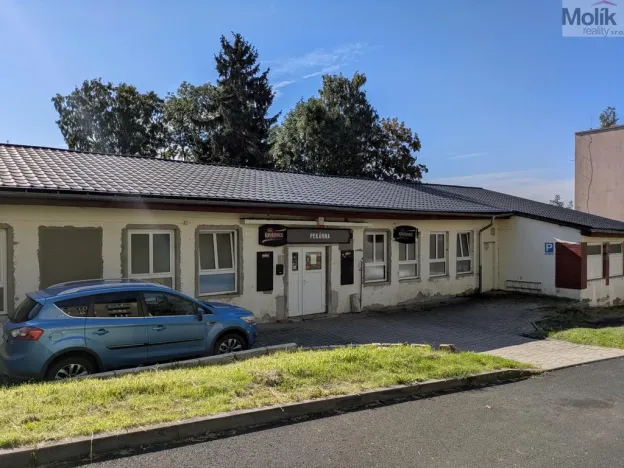 Prodej restaurace, Litvínov - Horní Litvínov, Alešova, 506 m2