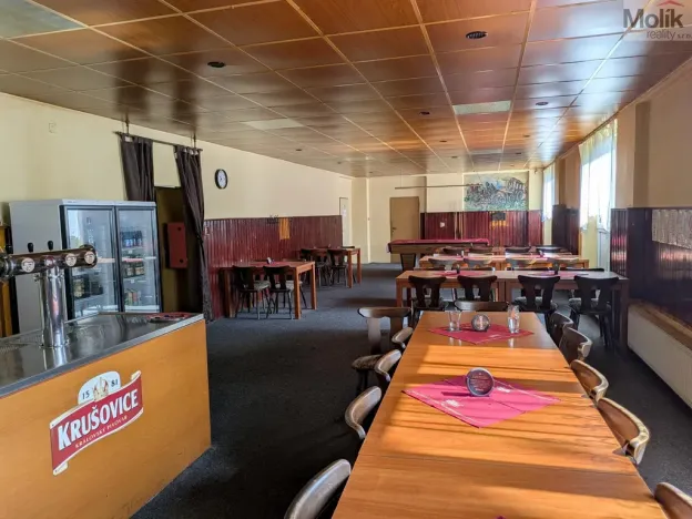 Prodej restaurace, Litvínov - Horní Litvínov, Alešova, 506 m2