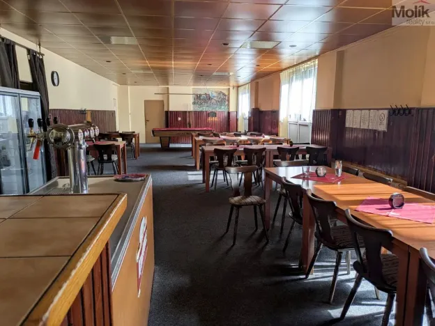 Prodej restaurace, Litvínov - Horní Litvínov, Alešova, 506 m2