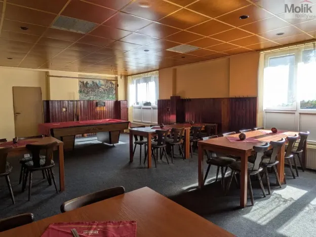 Prodej restaurace, Litvínov - Horní Litvínov, Alešova, 506 m2