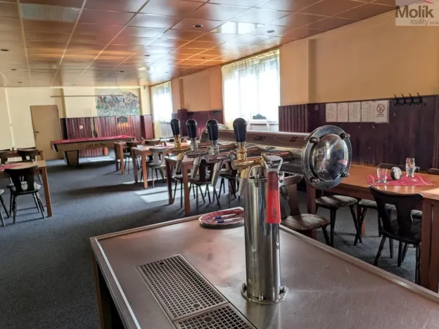 Prodej restaurace, Litvínov - Horní Litvínov, Alešova, 506 m2