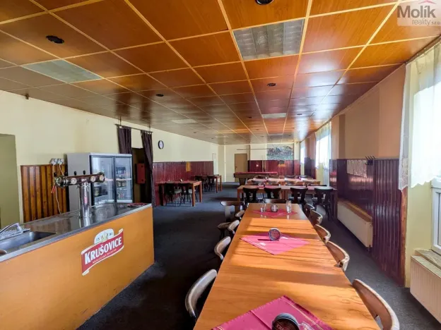 Prodej restaurace, Litvínov - Horní Litvínov, Alešova, 506 m2