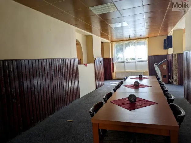 Prodej restaurace, Litvínov - Horní Litvínov, Alešova, 506 m2