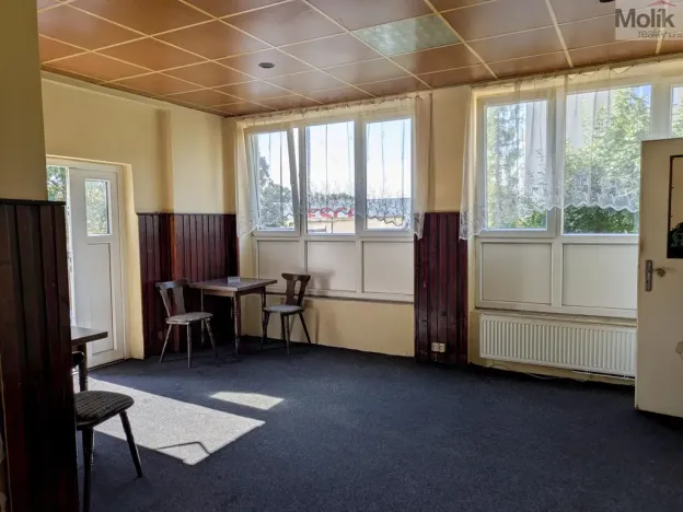Prodej restaurace, Litvínov - Horní Litvínov, Alešova, 506 m2