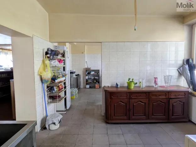 Prodej restaurace, Litvínov - Horní Litvínov, Alešova, 506 m2