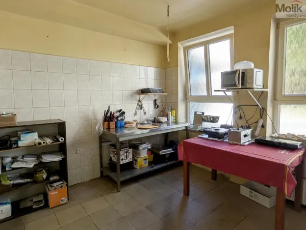 Prodej restaurace, Litvínov - Horní Litvínov, Alešova, 506 m2