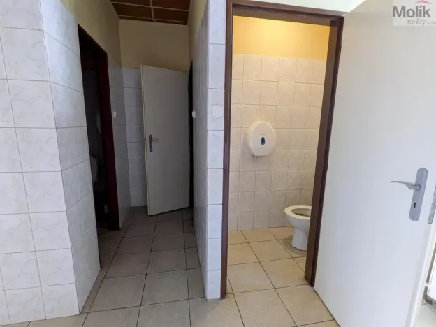 Prodej restaurace, Litvínov - Horní Litvínov, Alešova, 506 m2