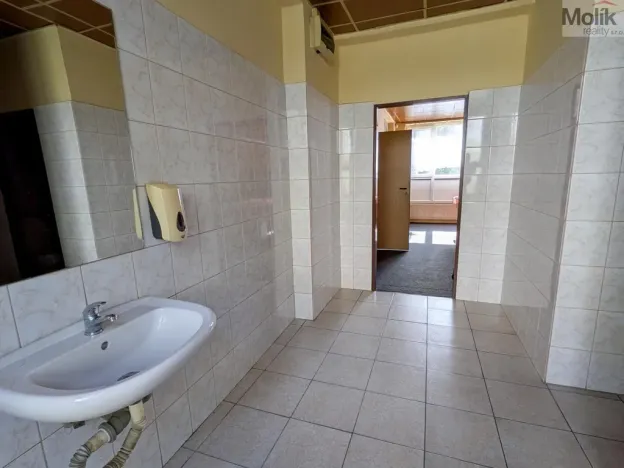 Prodej restaurace, Litvínov - Horní Litvínov, Alešova, 506 m2