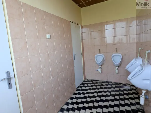 Prodej restaurace, Litvínov - Horní Litvínov, Alešova, 506 m2